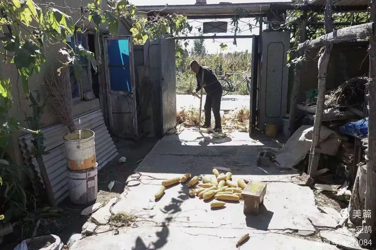 庄稼院【二十一】大村村(1)